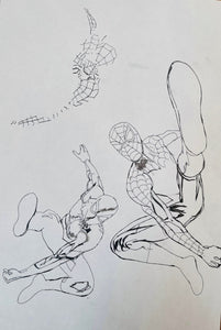Spider-Man Sketch #1 (2022)